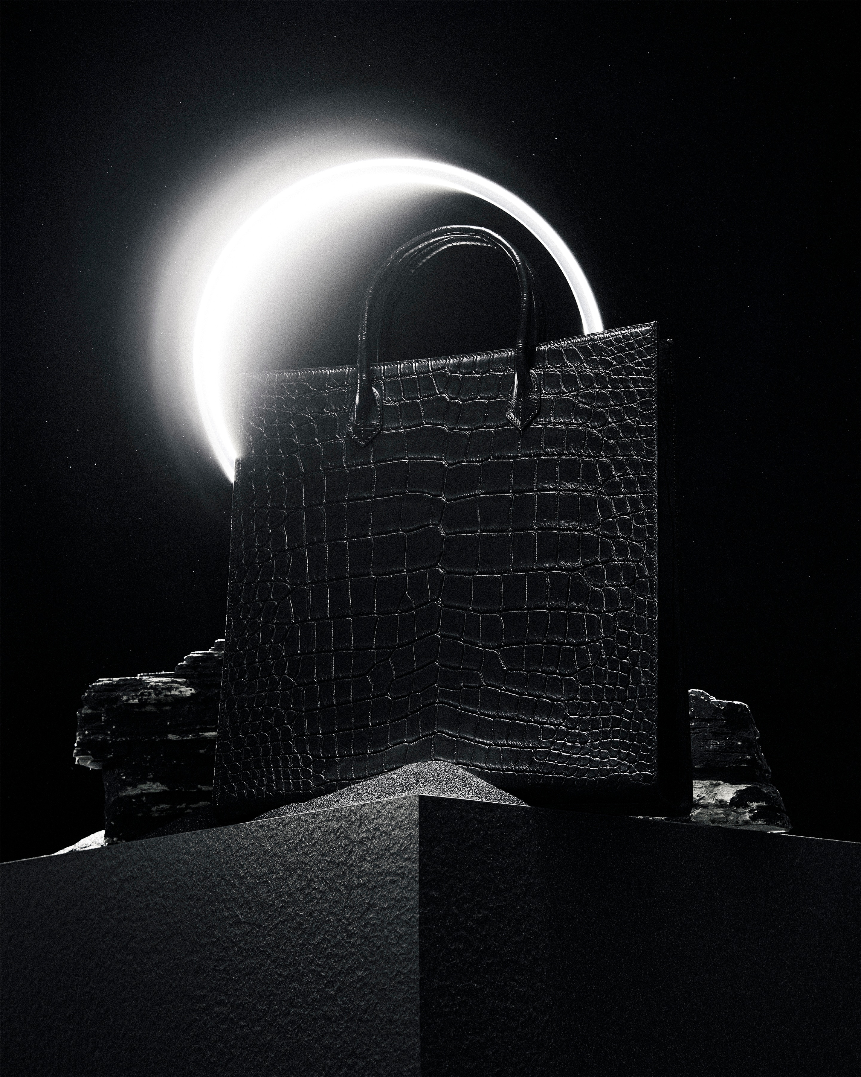 NOCTURNE — the crocodile tote beneath an eclipse